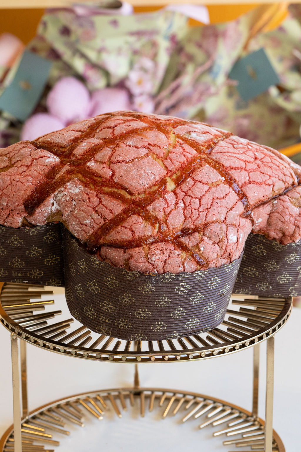 Colomba amarena